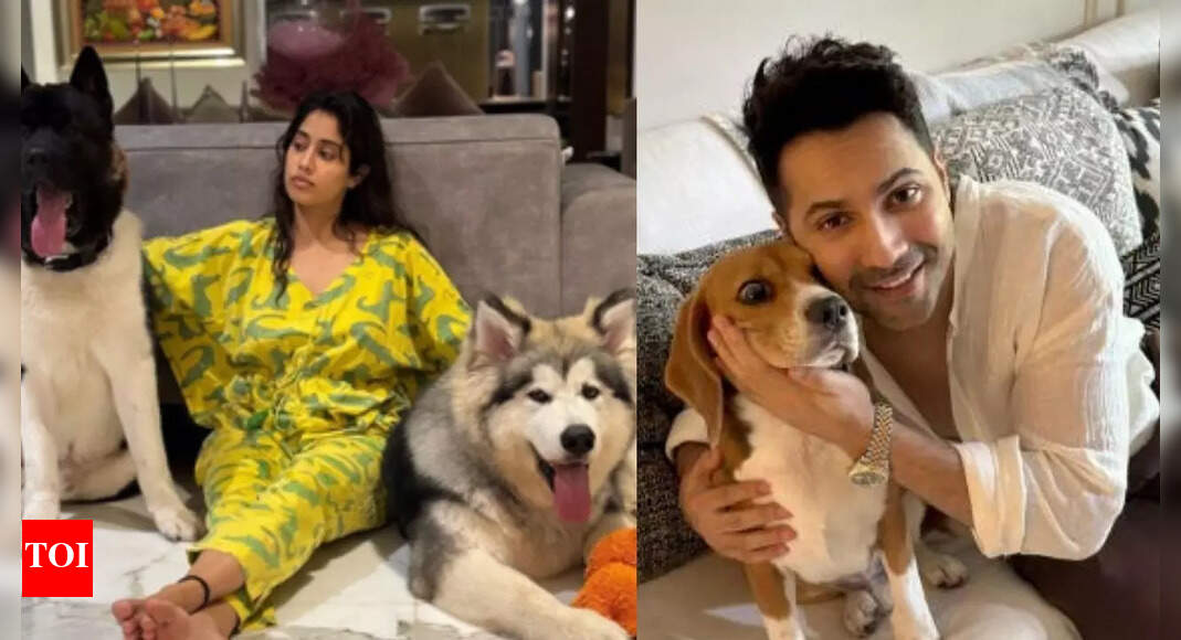 Janhvi Kapoor and Varun Dhawan speak out against the Supreme Court’s order to remove stray dogs from Delhi streets