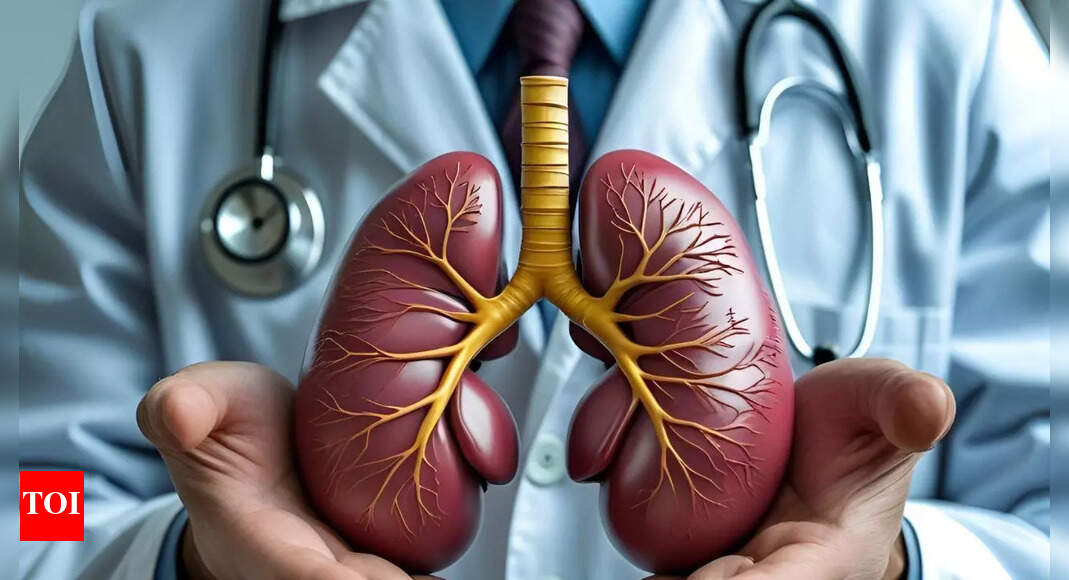 Israeli hospital developed lab-grown kidneys that survived for 34 weeks